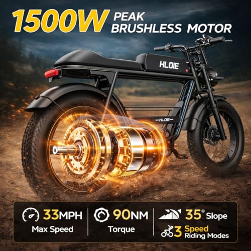 HLOIE 1500W All-Terrain E-Bike
