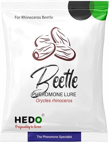 HEDO Paquete de 10 señuelos escarabajos para escarabajo rinoceronte (oryctes rinocerontes) para coco y palmera