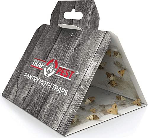 20 Pack Pantry Moth Traps - Safe And Effective For Food And Cupboard - Glue Traps With Pheromones For Pantry Moths - Trap A Pest #TOP4