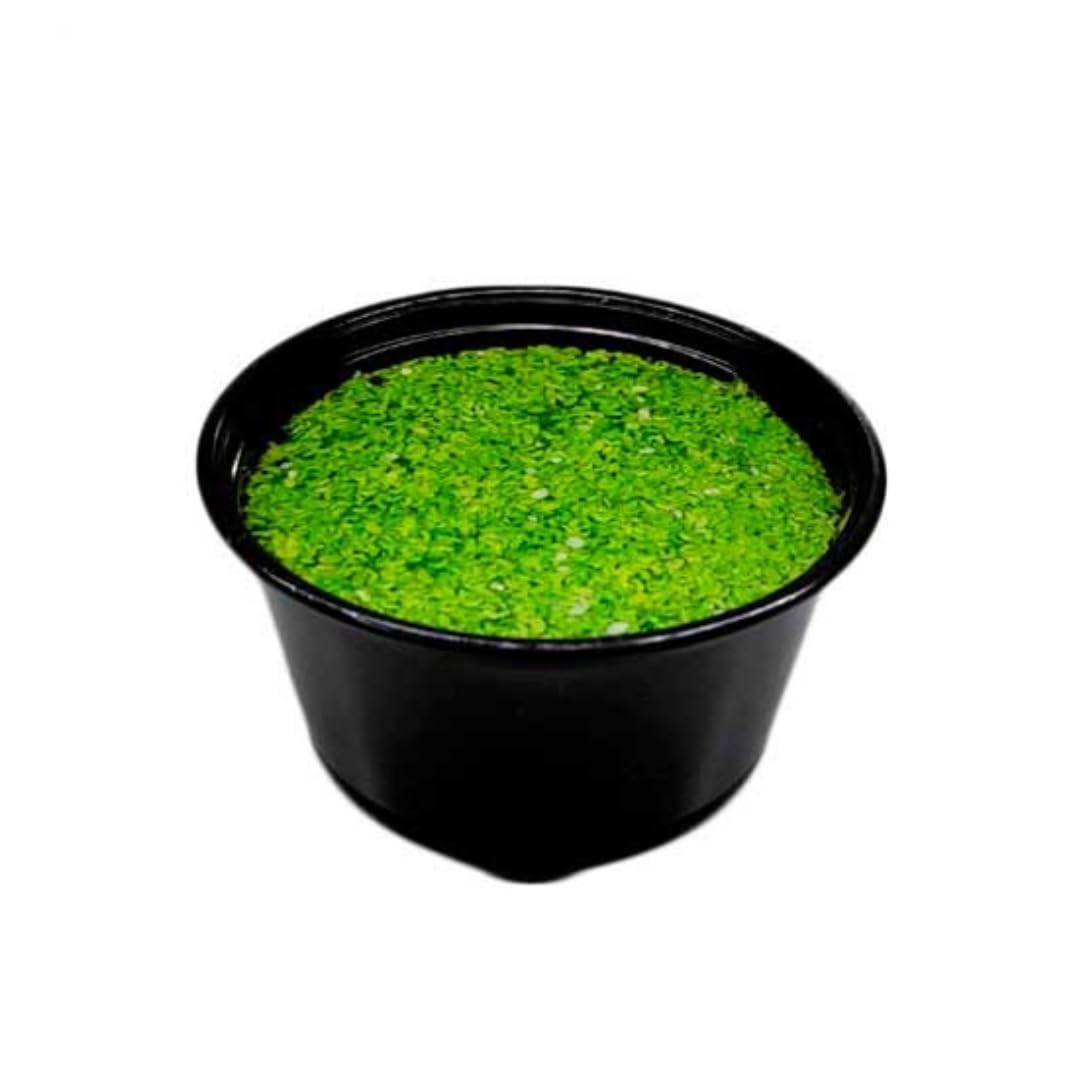 PlantasAcuario Planta acuática LEMNA MINOR (LENTEJA DE AGUA), planta de acuario viva y natural para acuarios plantados en tarrina, Planta Flotante