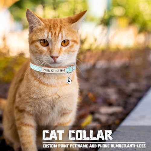 Individuelles im Dunkeln leuchtendes Katzenhalsband – Personalisiertes Katzen-ID-Halsband mit Name & Telefonnummer, Leuchtendes verstellbares Halsband mit Schnellverschluss für Haustiere