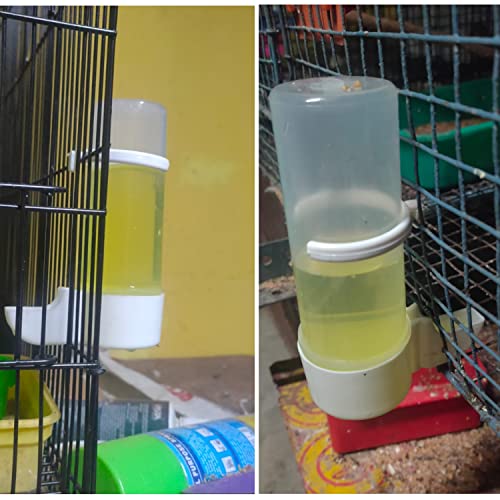 Image of Pagona Plastic - Imported Cage Gulfi Cup Bird Water And Food Hanging Feeder Suitable For Small Cage Birds Like Love Birds, Finches, Cockatiel And Ext.. (200Ml, Pack Of 10)