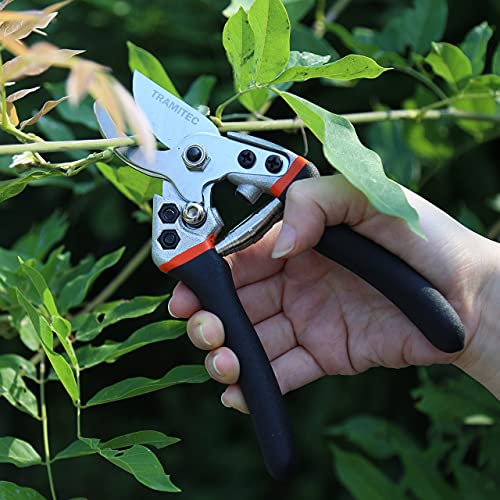 Tramitec Garden Hedge Shears. Hedge Clippers & Shears Set With Super Pruning Shears. Heavy Duty Garden Clippers For Shaping Bushes Nicely. Hedge Scissors & Shears Made With Durable Carbon Steel. #TOP7