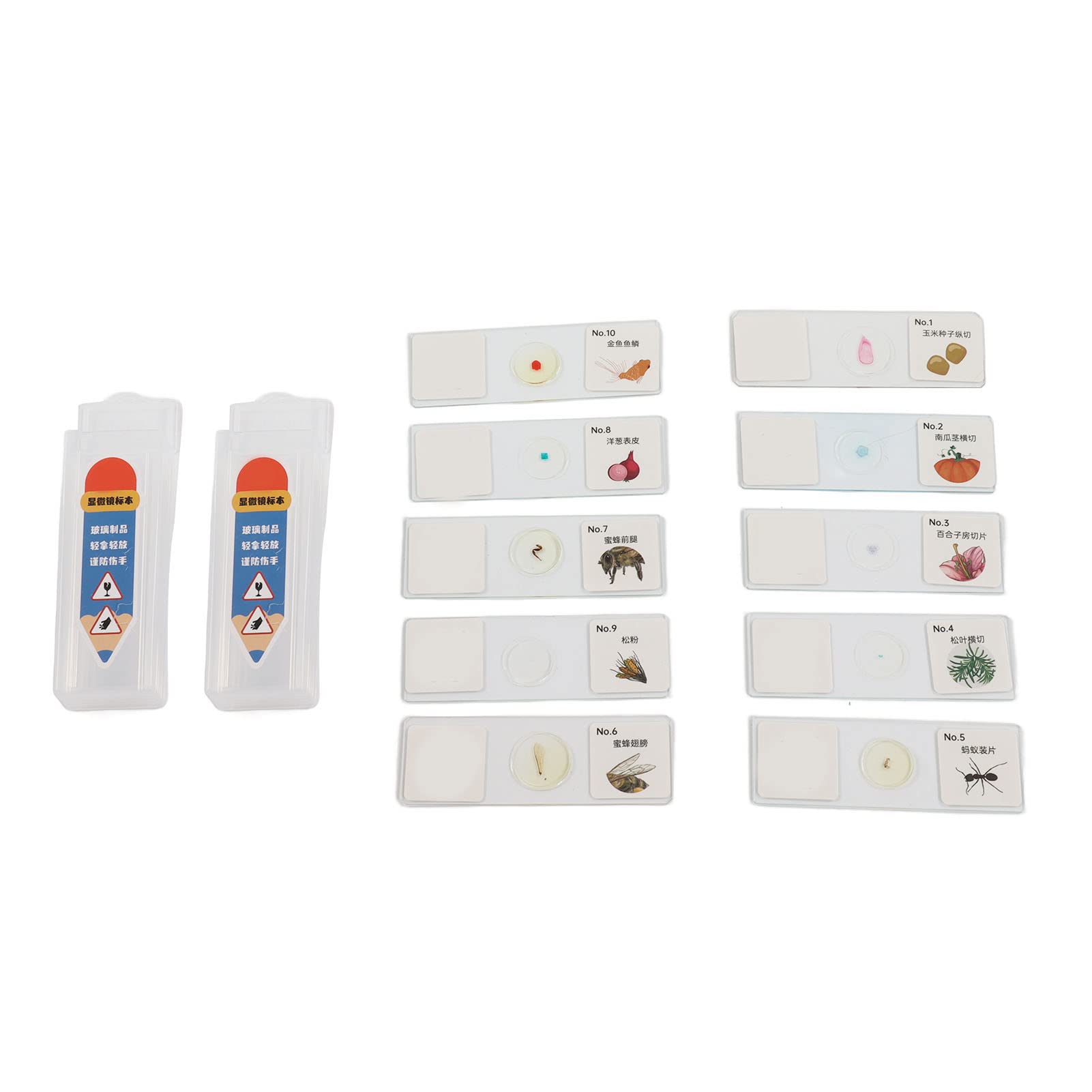 Digitales Mikroskop, ABS-USB-Mikroskop 100 X 600 X 1200 mit LED-Licht und 10 Proben, Eingebauter 4000-mAh- für, Studenten, Zuhause, Schule, Naturwissenschaftliches Lernen