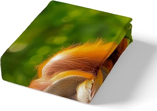 Miniatura 10 de Feelyou Juego de funda de edredón con estampado floral en 3D para niñas y niñas, elegante, con estampado floral morado, romántico, con purpurina,