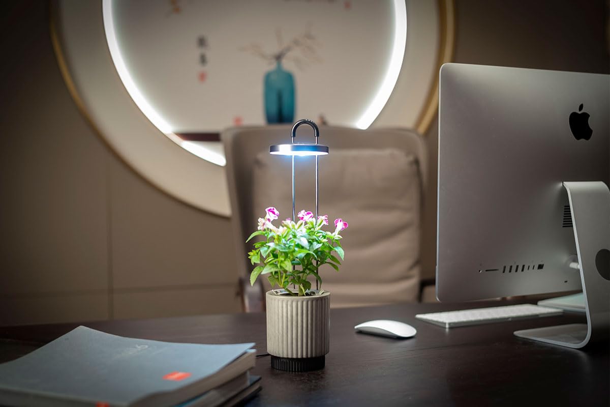 Mini Huerto Inteligente con Cápsulas de Petunia Click & Grow, Hydrovase Smart Garden, Kit de Cultivo Interior con Luz de Crecimiento LED y Autorriego