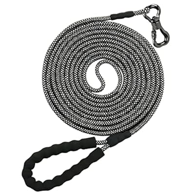 NTR 30FT Puppy Leash, Nylon Rope Long Dog Leash with Swivel Lockable Hook and Comfortable Padded Handle, Dog Line Tether for Small Medium Large Dogs Training, Playing, Camping, or Backyard