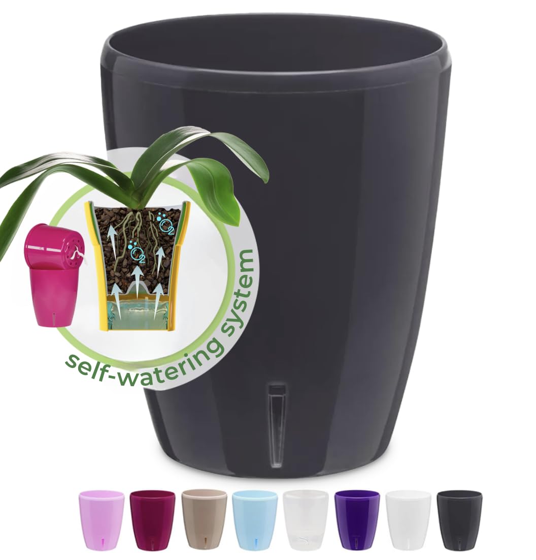 Happyplants Anthracite / Pack Of 1 Orchidea Self-Watering Orchid Pot Flower Planter With Water Level Indicator Water Reserve And Drainage Holes(Anthracite, Ø12.5cm - 1.3L)