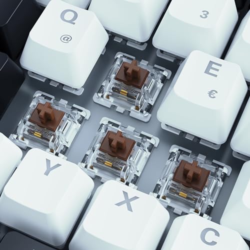Skiller SGK50 S3 - Tastiera da gioco RGB Gateron Brown, 75% layout - Tastiera gaming - Immagine 2