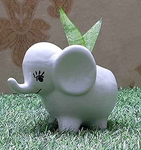 Crazy Pots Ceramic Elephant Planter, for Indoor Succulent Plants, Gift, (White), 1 Piece Without Plant (B08ZDJPRBT) Amazon Price History, Amazon Price Tracker