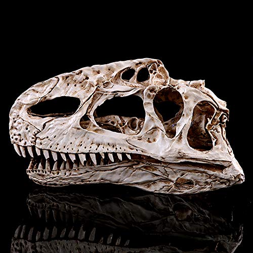 BOLLAER Monolophosaurus Skull, Resin Dinosaur Skull Sculpture - Brown, Handmade, Modern, Halloween Decor