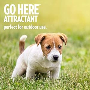 OUT-PetCare-Go-Here-Attractant-Indoor-and-Outdoor-Dog-Training-Spray-House-Training-Aid-for-Puppies-and-Dogs-32-oz - Cucciolini Doodles   OUT-PetCare-Go-Here-Attractant-Indoor-and-Outdoor-Dog-Training-Spray-House-Training-Aid-for-Puppies-and-Dogs-32-oz