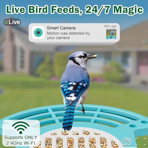 Jarkyfine Hanging Smart Bird Feeder with Camera - 32G SD Card Included for Free Local Storage, 2K AI Identification, Dual Solar for 365-Day Use, Squirrel Proof, Gifts for BirdLovers, Blue by Jarkyfine - Image 4