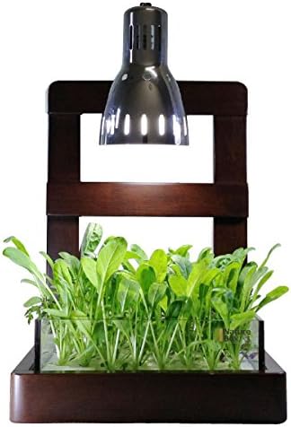 超レア大型美品！40'sUSAビンテージVFW米国退役軍人会 両面刺繍