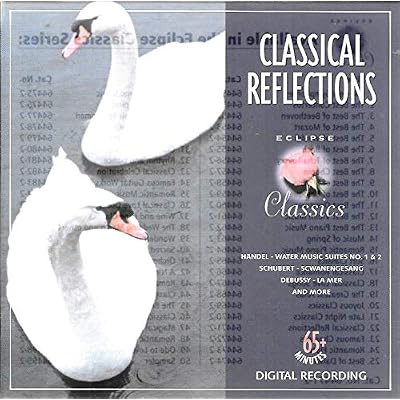 Classical Reflections