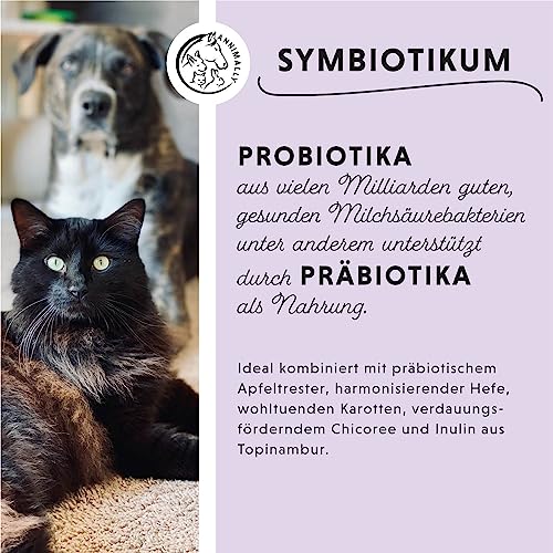 Annimally Hunde & Katzen Darmkur Pulver 250g I Darmsanierung Hund Katze Probiotika und Präbiotika zum Darmflora aufbauen - Ideal als Darmaufbau bei Durchfall, nach Wurmkur oder Magen Darm Infekt