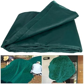 Greenhouse Heater Frost Protection: Which Options Truly Deliver? 3 greenhouse heater frost protection