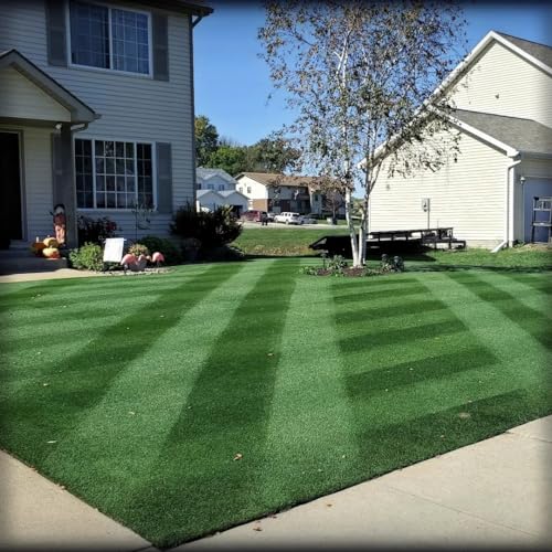 Lesco Double Eagle Rye Grass Seed - 50 lbs. Used for Overseeding Bermuda Grass. 100% Turf-Type Perennial ryegrass-3 Varieties