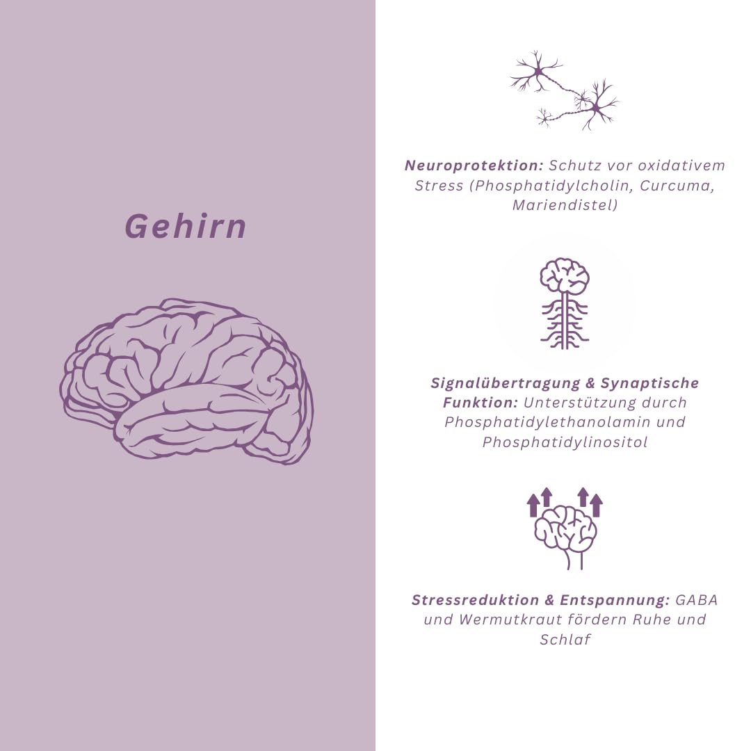 Anti-Stress Kapseln mit GABA, Curcuma & Mariendistel – Vegan & ohne Zusatzstoffe – Entspannung, Schlaf & Leber-Detox – Made in Germany