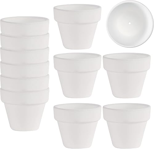 Macetas pequeñas de arcilla de terracota blanca de 2 pulgadas con agujeros de drenaje para pequeños cactus hierba lithop, maceta pequeña para