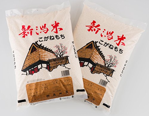 V ߘa7NY  ʍ͔| VY  ˂ 5kg (10kgi5kg×2j)