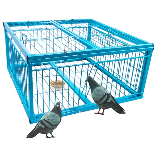 Humane Pigeon Trap Cage - Easy to Use & Effective for Roof, Garden, Yard and Outdoor Bird Control