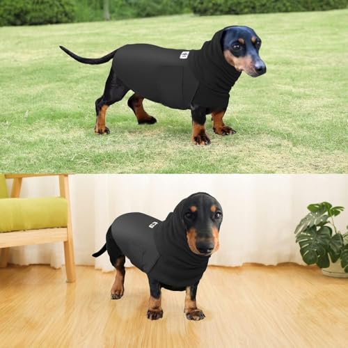 Abrigos de perro salchicha en miniatura con chubasqueros para perros pequeños 3