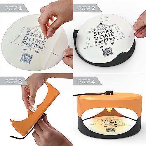 ASPECTEK 2 Stück Flohfalle & Bettwanzenfalle – Klebrige Kuppelfalle mit Fallenglühbirne und Klebepad, ideal für die Detektion von Bettwanzen in Wohnung und Schlafzimmer, geruchlos und ungiftig