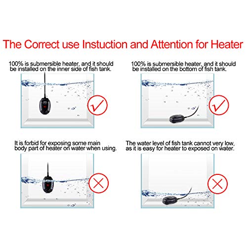 Product Image 6:
