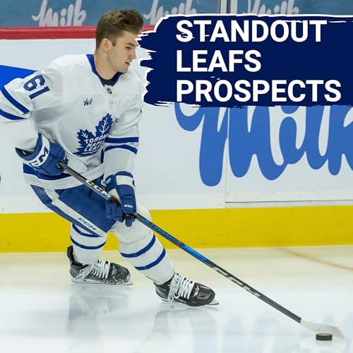 『Notable Leafs prospects from Rookie Showcase, Atlantic Division Preseason Power Ranking』のカバーアート
