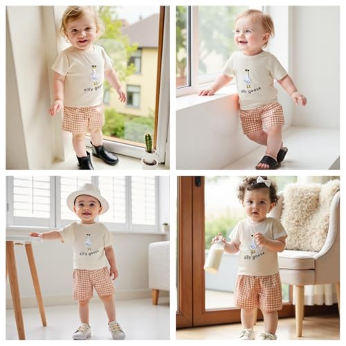 Toddler Baby Boy Girl Summer Clothes Silly Goose Short Sleeve T-Shirt Tops Plaid Shorts Set 2Pcs Farm Goose Outfit2
