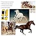 Restokki 2Pack Horse Support Boots, Open Front Jumping Tendon Horses Boots, Adjustable Horse Tendon Protection for Jumping Trail Riding (22.00 * 20.00 * 5.00-Yellow)