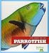 Parrotfish (Bullfrog Books: Life Under the Sea)