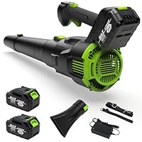 Electric Leaf Blower Cordless