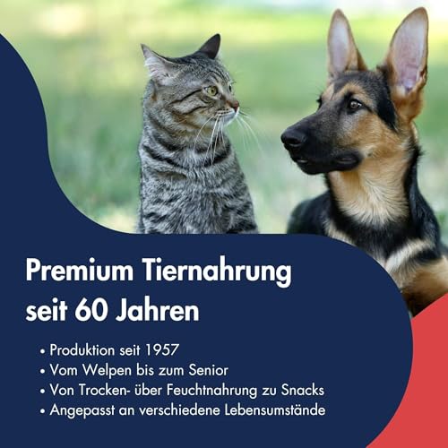 DR.CLAUDER'S - Trainee Snack | Leicht verdauliche Snacks aus 95% Fleisch mit Inulin für Hunde und Katzen. Schonend dampftrocknete Leckerlis im Frischebeutel | 500g Rind