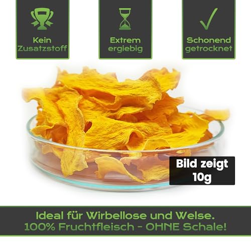 Getrocknete Hokkaido Chips 10g - Kürbis Streifen ohne Schale | Garnelenfutter, Welsfutter, Schnecken- & Krebsfutter für Aquarien und Terrarien empfohlen