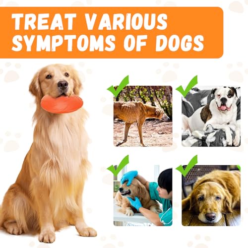 Yooyan 2 Stück Hundefrisbee, 15cm Hundespielzeug Frisbee, Outdoor Hundespielzeug - Wurfscheibe aus Naturkautschuk, Schwimmfähiges Wasserspielzeug, Geeignet Für Das Training Von Haustieren