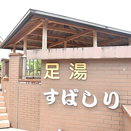 道の駅すばしり利用券500円×3枚 道の駅 すばしり 足湯 チケット 券