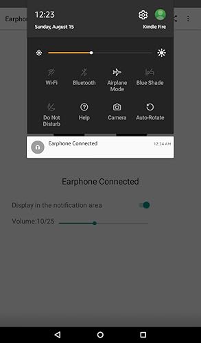 Earphone connection status display