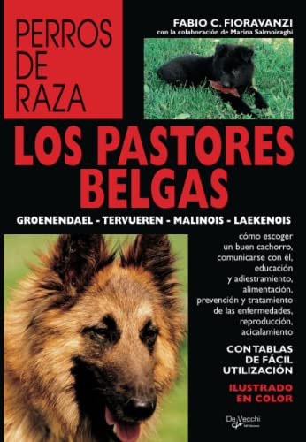 Los pastores belgas
