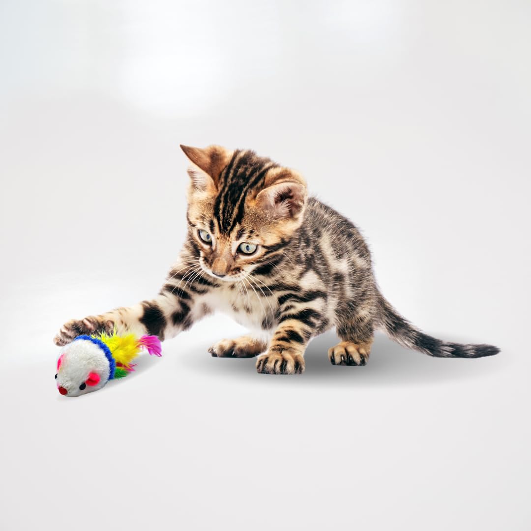 Lyra Pet® 100 Stück Spielmäuse Spielmaus Spielzeug Katze Rassel Plüsch Fell