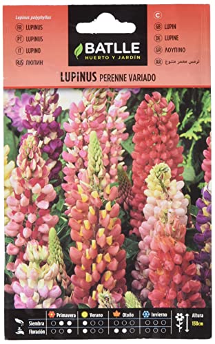 Semillas Batlle Lupinus perenne variado