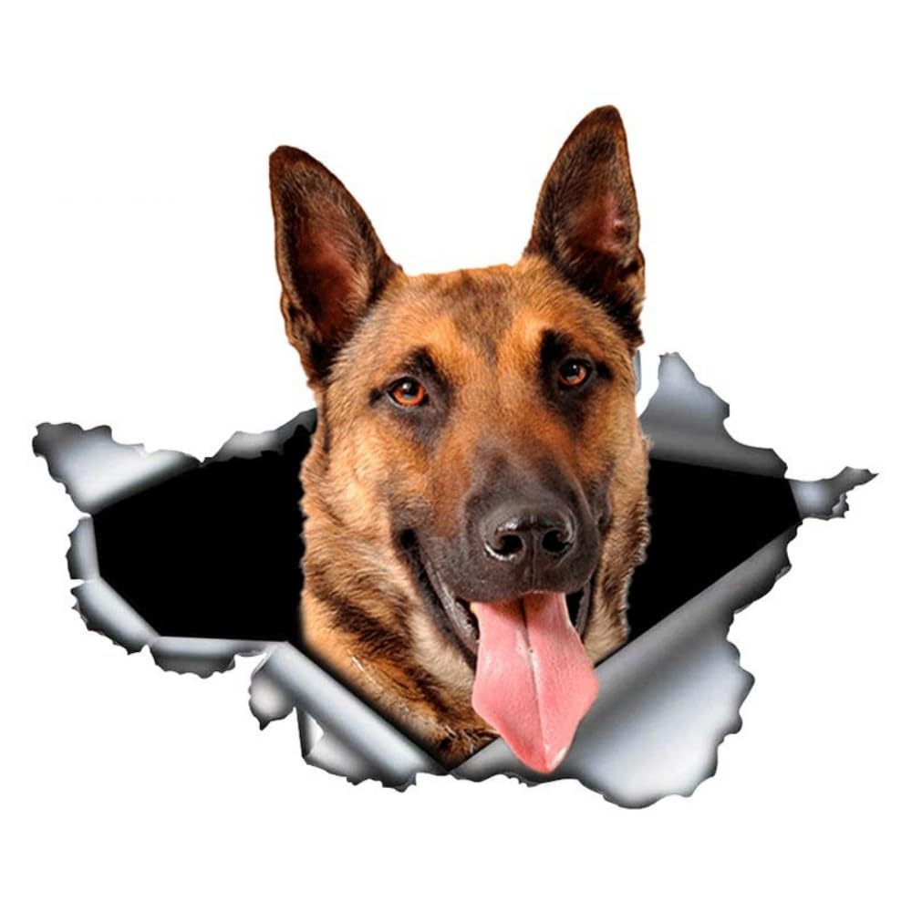 Belgischer Schäferhund Autoaufkleber, Belgian Malinois Wasserfester Reflektierender Aufkleber mit Risseffekt, für Auto, Laptop, Kühlschrank, Stoßstange, Fenster und Haus (15cm/5.9 Inch)
