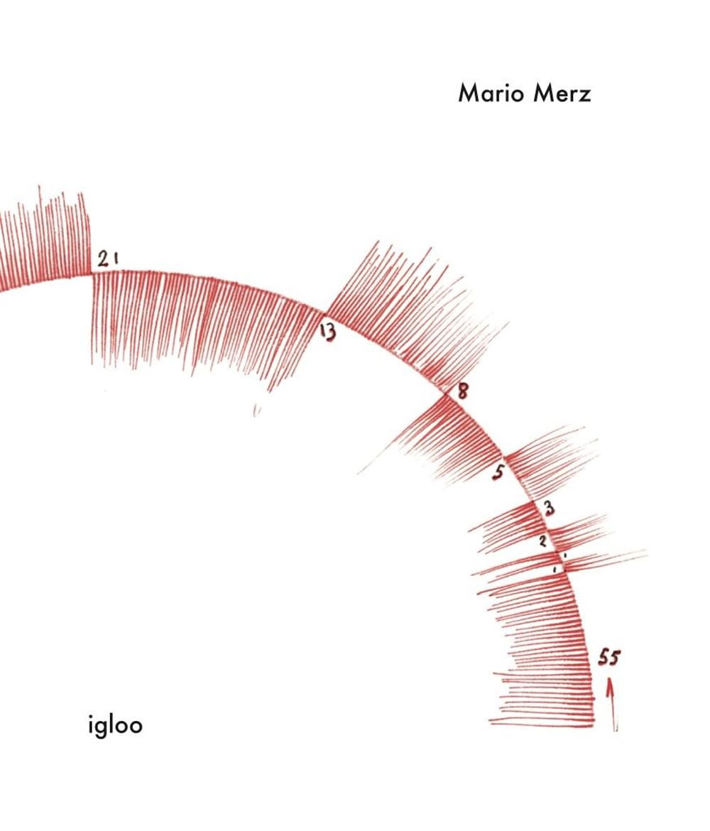 Mario Merz. Igloo. Catalogue raisonné. Ediz. illustrata (Vol. 1)
