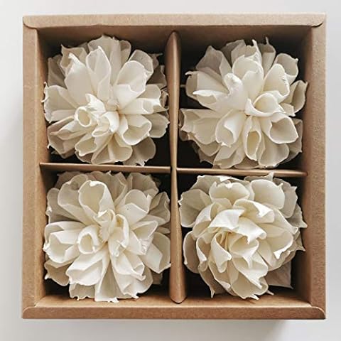 Plawanature Box Set of 4 Dahlia Sola Flower 8 cm with Rope Diffuser for Home Fragrance Oil Cover