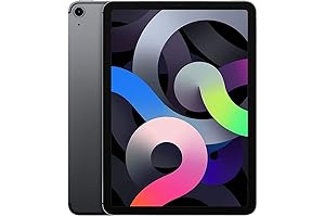 iPad Air 10.9-inch (256GB, Wi-Fi + Cellular) Space Gray