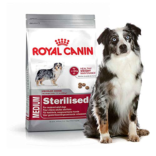 Royal Canin Medium Sterilised, 1er Pack (1 x 3 kg)