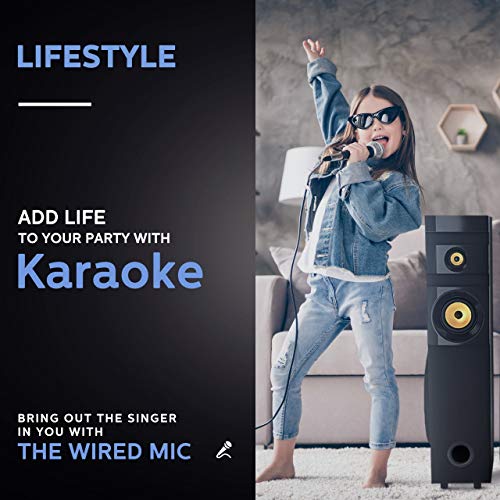 Image of PHILIPS Audio SPA1100 /94 100 Watt 2.0 Channel Wireless Bluetooth Tower Speaker (Black)