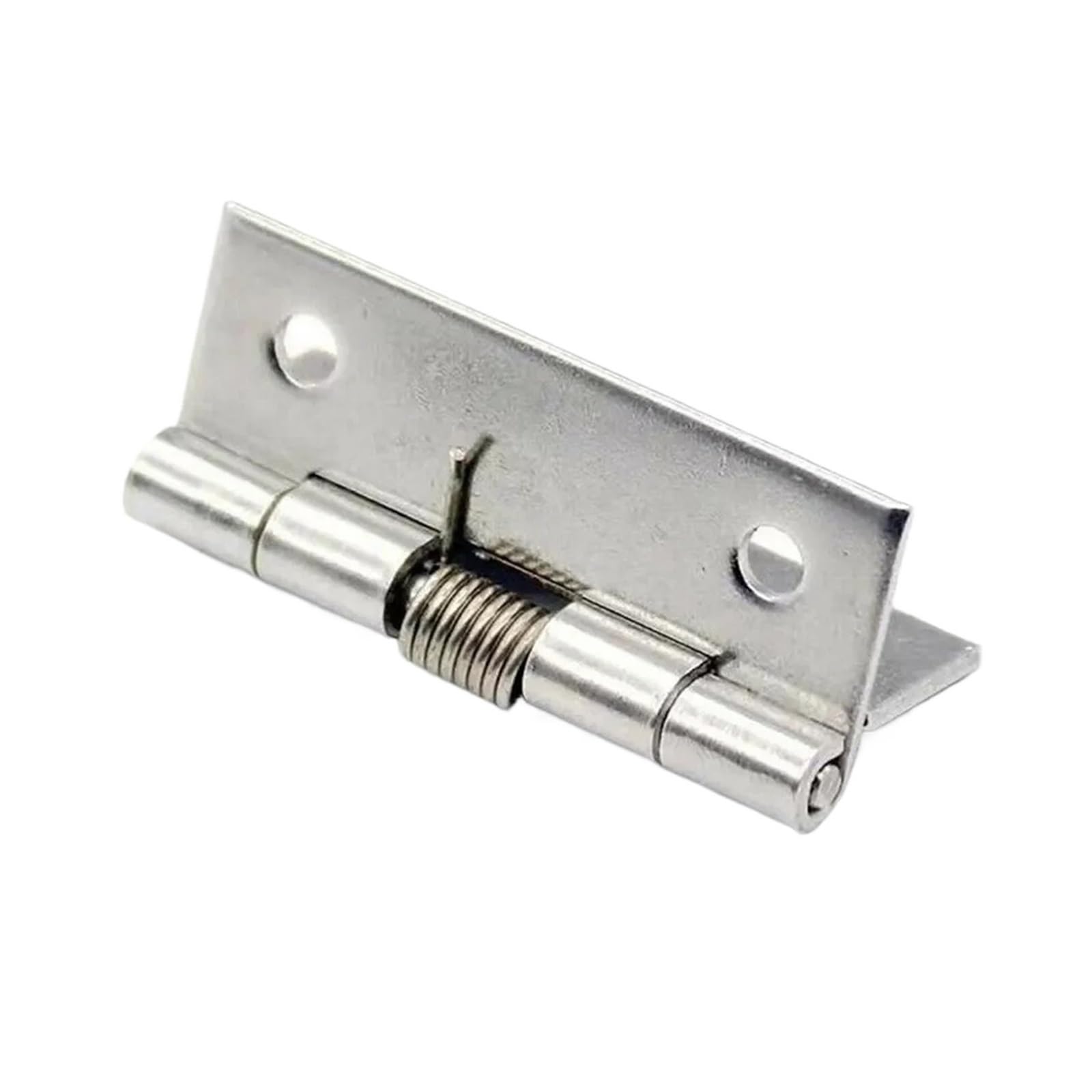 Wsqhao One Color 6Pcs Spring Hinges Self Closing Stainless Steel Door Hinge Hardware For Doors Cabinets For Doors(1 Inch)
