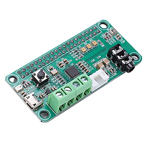 Módulo WM8960 para decodificación de audio con doble micrófono y salida de sonido eficiente